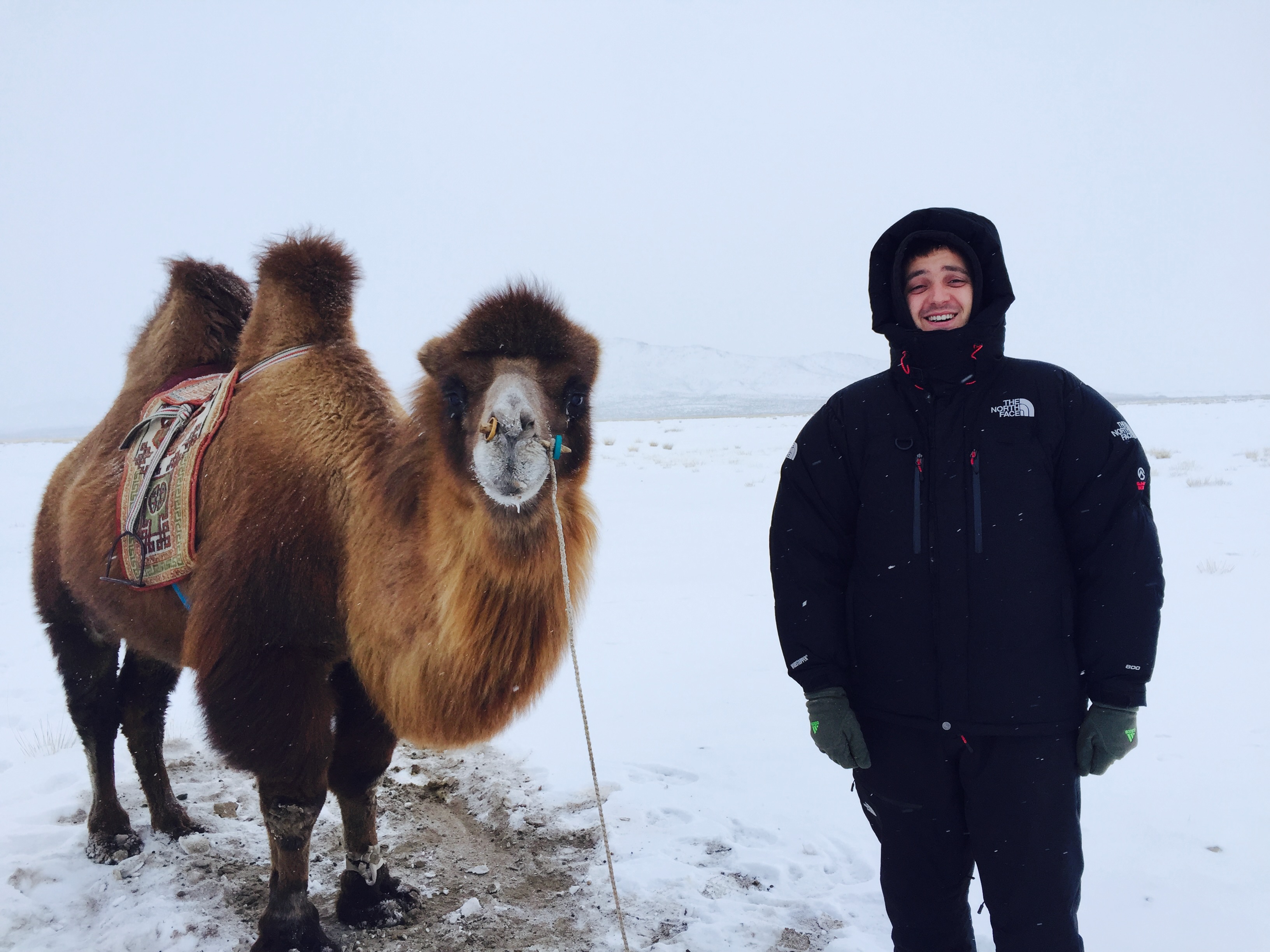 Mongolia · the steppe